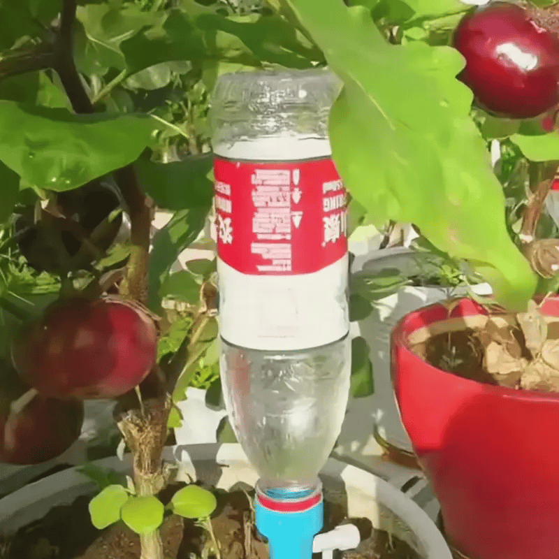 SmartDrop | Mantén tus plantas verdes sin esfuerzo