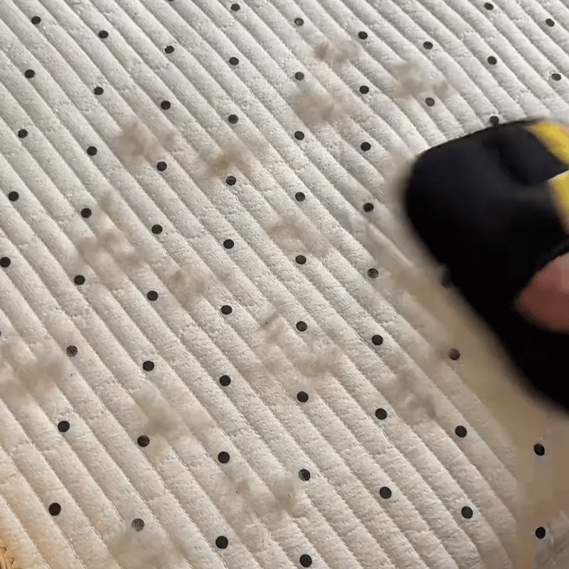 PetHairFree + Pelota Indestructible – Removedor de Pelo Reutilizable