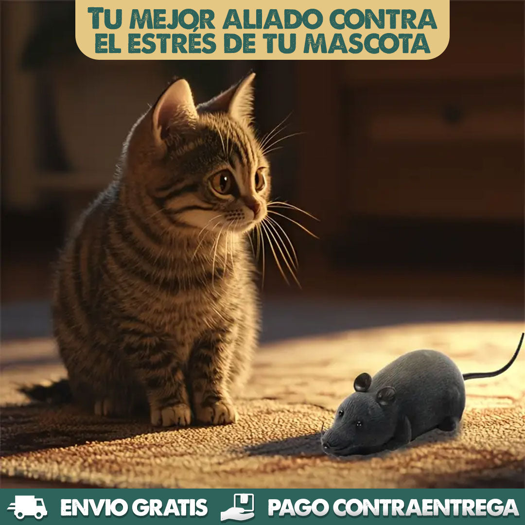 Chase Mouse | Juguete Interactivo para Mascotas