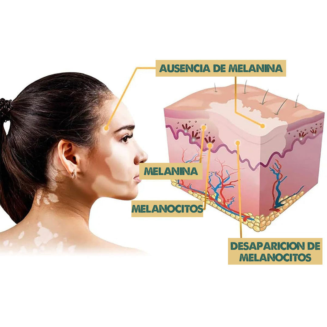 Pigmenta Vita – Revitalización Natural de la Piel