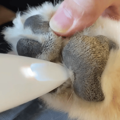 Patitas Perfectas - Cortador Silencioso e Impermeable