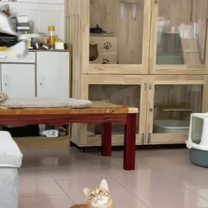 HappyHunt Pets X2 UNIDADES | Juguete Interactivo para Mascotas