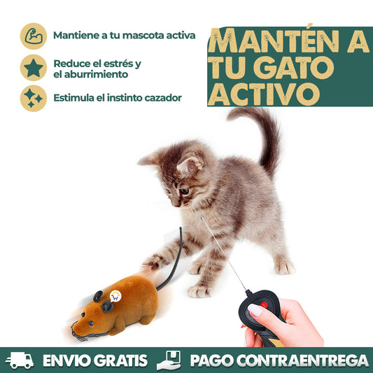 Chase Mouse | Juguete Interactivo para Mascotas