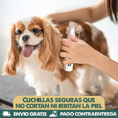PawGroom Pro | Peluditos impecables sin estrés
