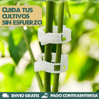 GrowGrip - Soporte de Jardinería Reutilizable X100 UNIDADES