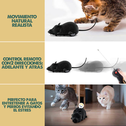Chase Mouse | Juguete Interactivo para Mascotas
