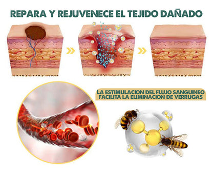 BEE VENOM | Elimina líneas de expresión