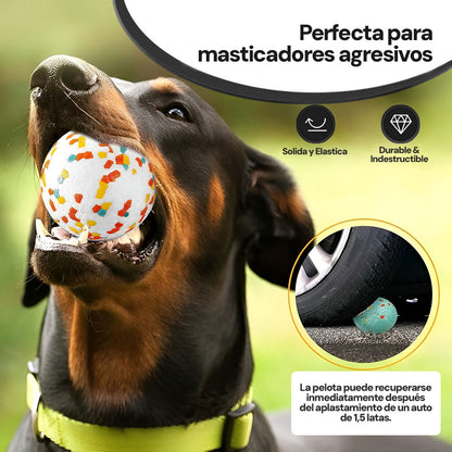 PELOTA INDESTRUCTIBLE para tu Perro | Duración Infinita